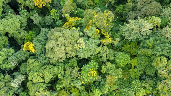 Dépannage poids lourd à Yvrac : solutions rapides et efficaces