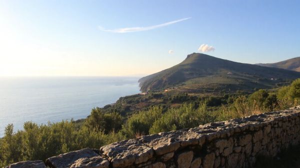 Top conseils pour sélectionner un paysagiste à Calvi